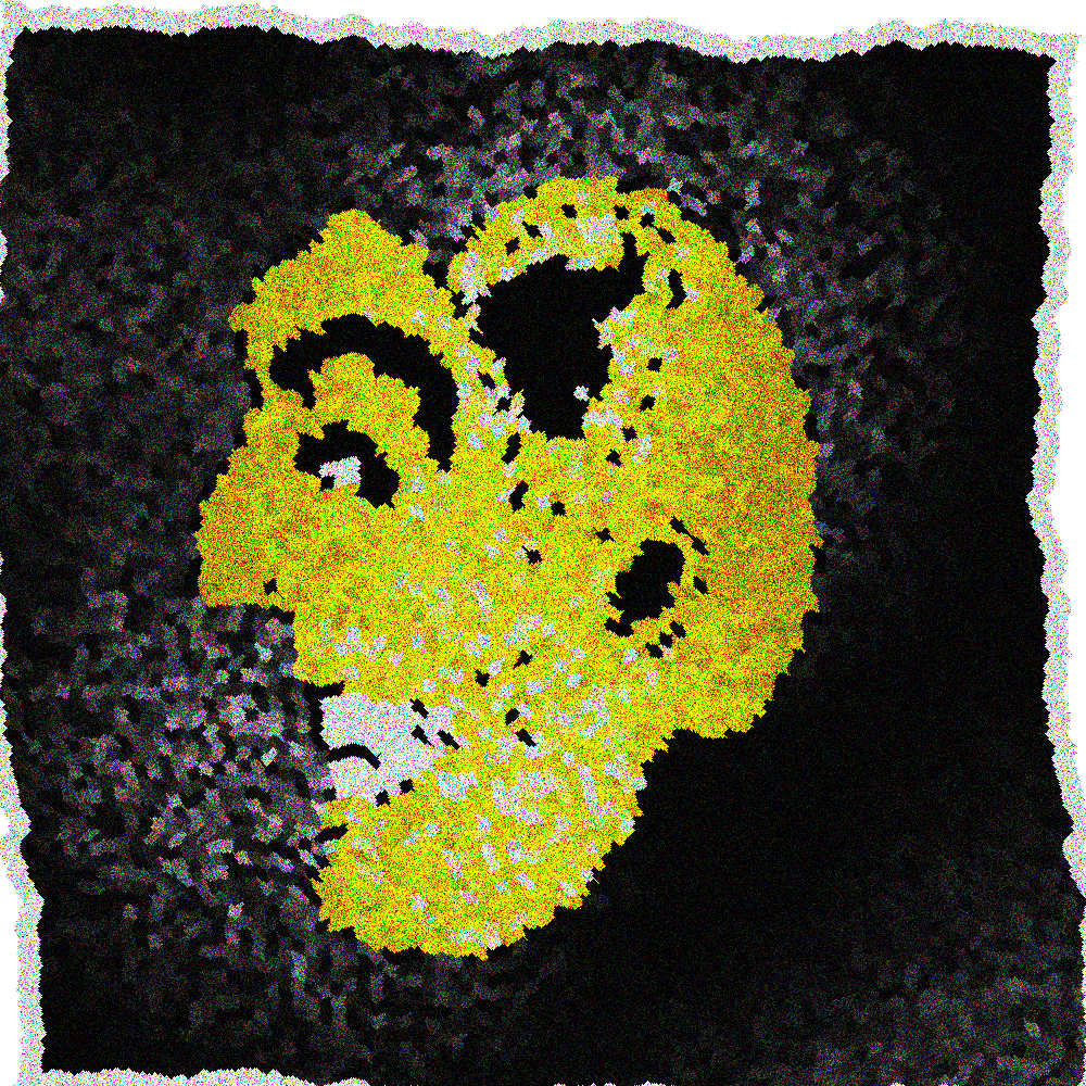 Split Head Official